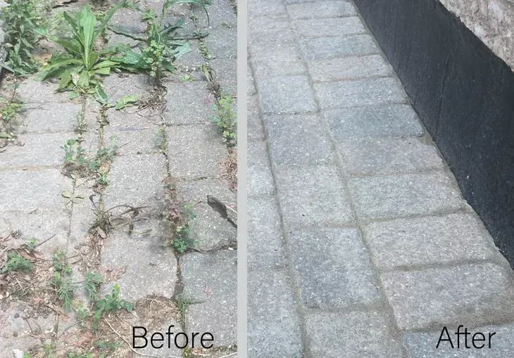 Interlock paver walkway before and after a professional cleaning